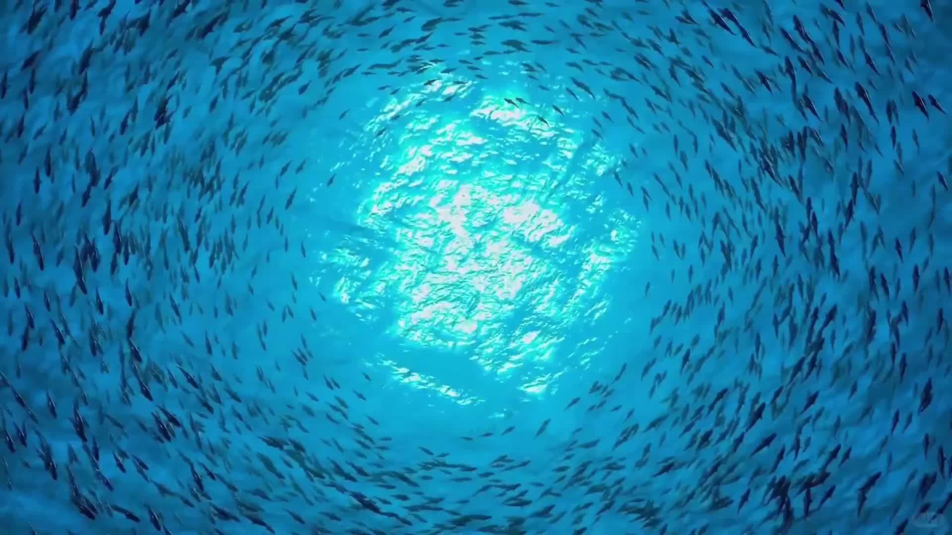 2025.11.29雾岛 Blog岛雾Blog